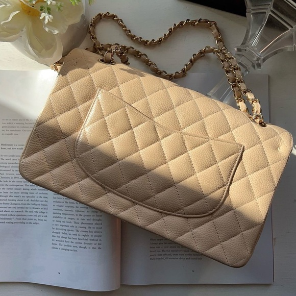 Chanel Classic Medium Double Flap Beige Bag - Picture 3 of 8